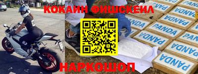 крисы Шахты