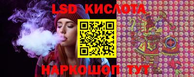 крисы Шахты