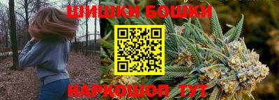 крисы Шахты