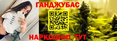крисы Шахты