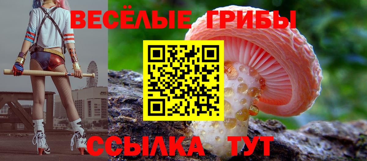 что такое наркотик  Галлюциногенные грибы прущие грибы  Архангельск  Вход с VPN  Псилоцибиновые грибы мицелий 